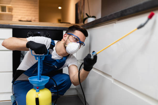 Best Local Pest Control Services  in Plains, TX