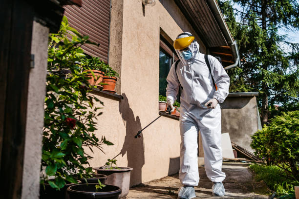 Trusted Plains, TX Pest Control Experts