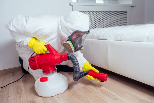 Best Affordable Pest Control Services  in Plains, TX