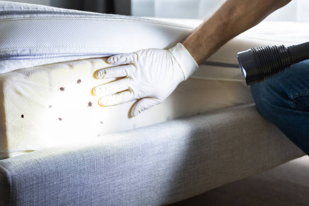 Best Wildlife Control Services  in Plains, TX