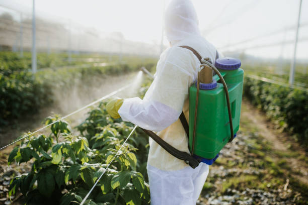 Best Pest Control for Businesses  in Plains, TX